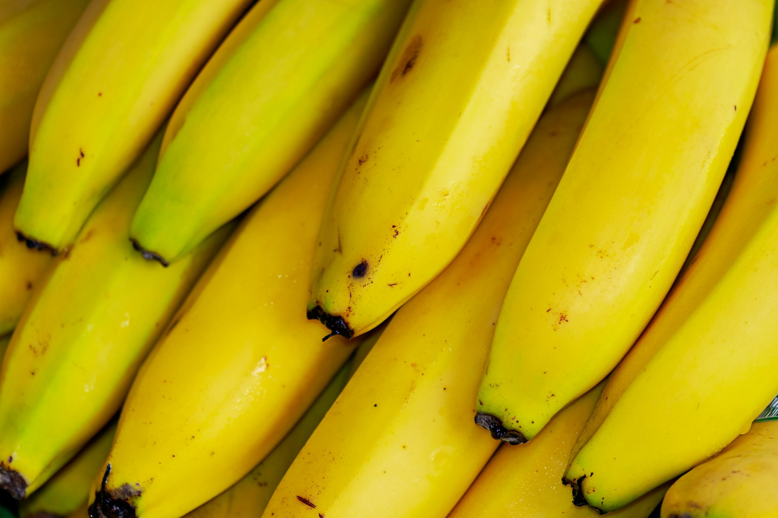 Are bananas healthy?